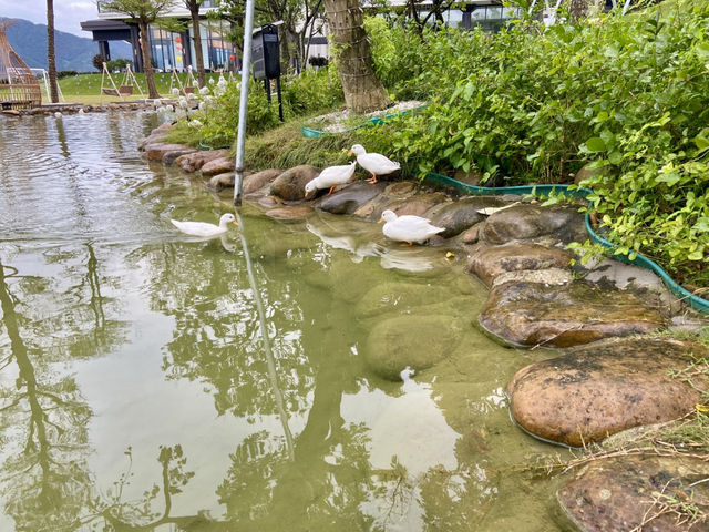 ☂️現代建築遇上雨天詩意✨水上雲朵温泉酒店♨️🧸🛝 ☂️現代建築遇上雨天詩意✨水上雲朵温泉酒店♨️🧸🛝