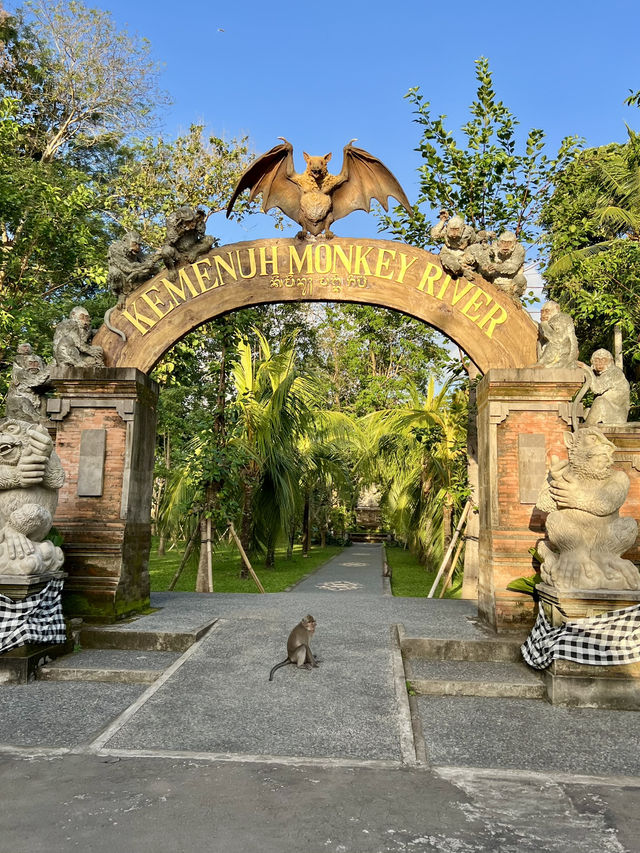 ๐ Hidden Gem in Bali โ Kemenuh Monkey River ๐ Hidden Gem in Bali โ Kemenuh Monkey River