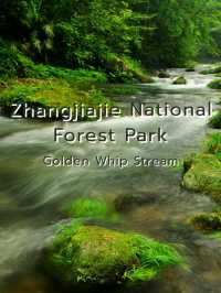 Zhangjiajie National Forest Park @ China