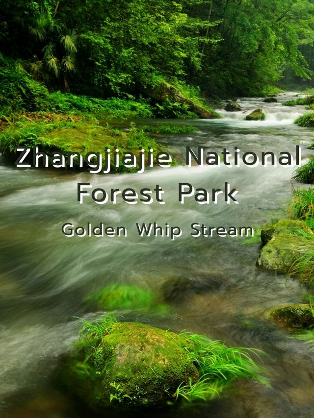 Zhangjiajie National Forest Park @ China