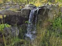 Arctic–Alpine Botanic Garden