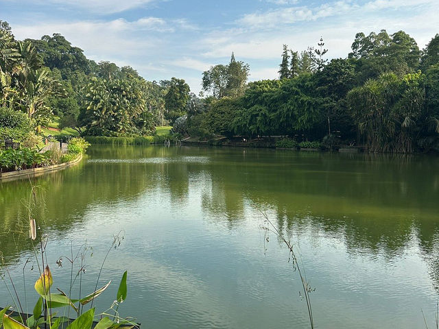 Singapore Botanic Gardens