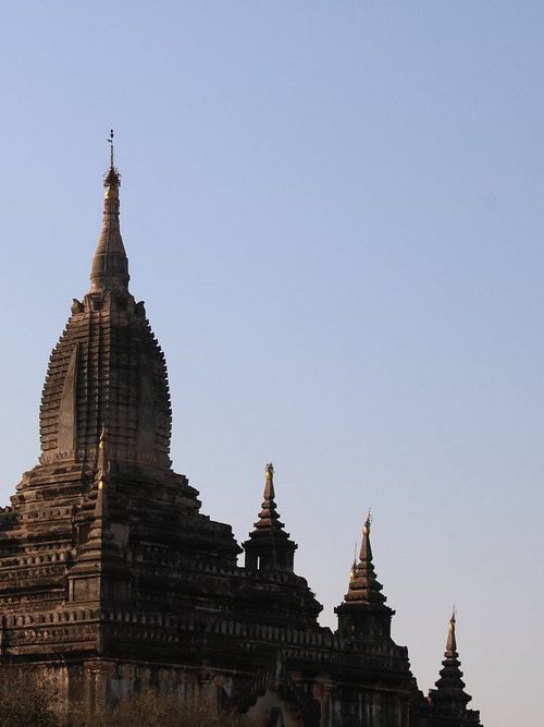 Shwe-gyu-gyi