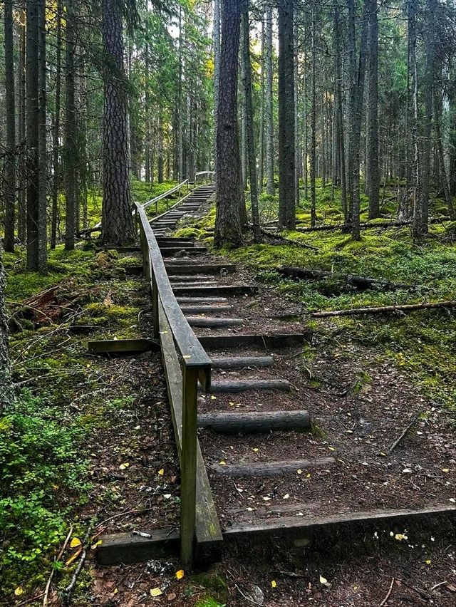 🌲 Seitseminen National Park – Where Finnish Wilderness Comes Alive