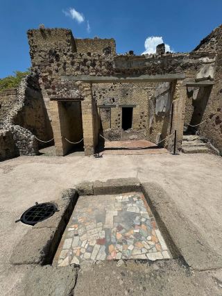 Ancient Stories Preserved in Stone and Ash