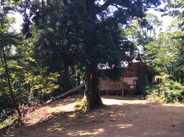 【福井・文殊山⛰】智恵の山で登山＆絶景パノラマを楽しむ