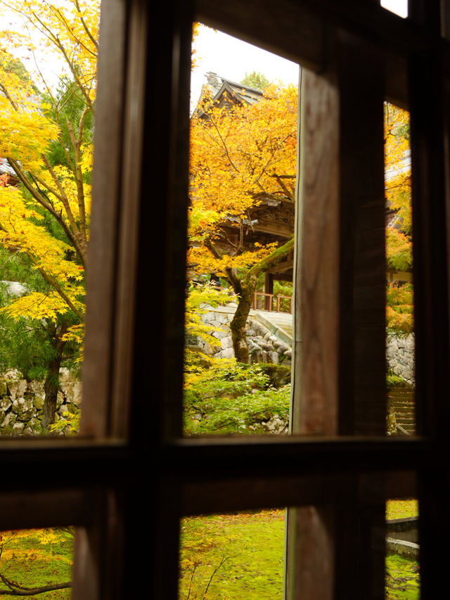 7つの建物を結ぶ回廊 階段だけじゃなく、格子から見える世界が素晴らしい