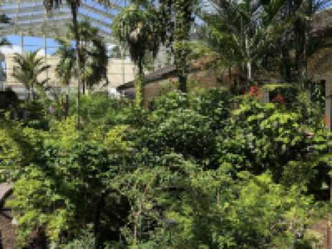 Fairchild Tropical Botanic Garden
