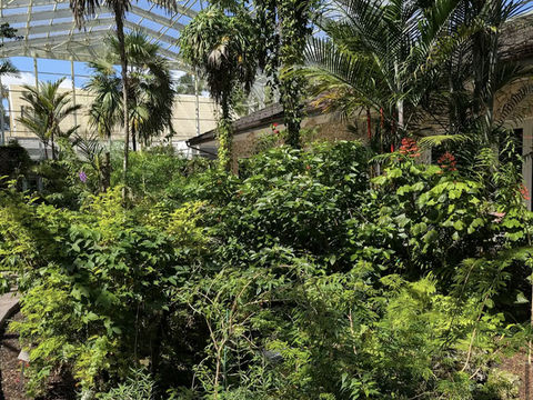 Fairchild Tropical Botanic Garden