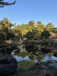 Hallim Park — одно из самых неожиданных мест на Чеджу