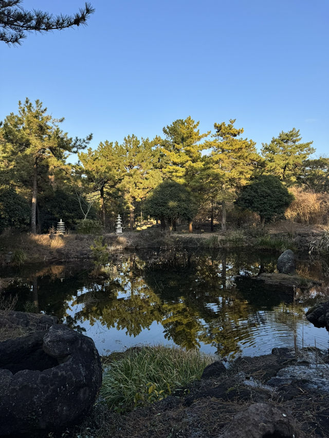 Hallim Park — одно из самых неожиданных мест на Чеджу