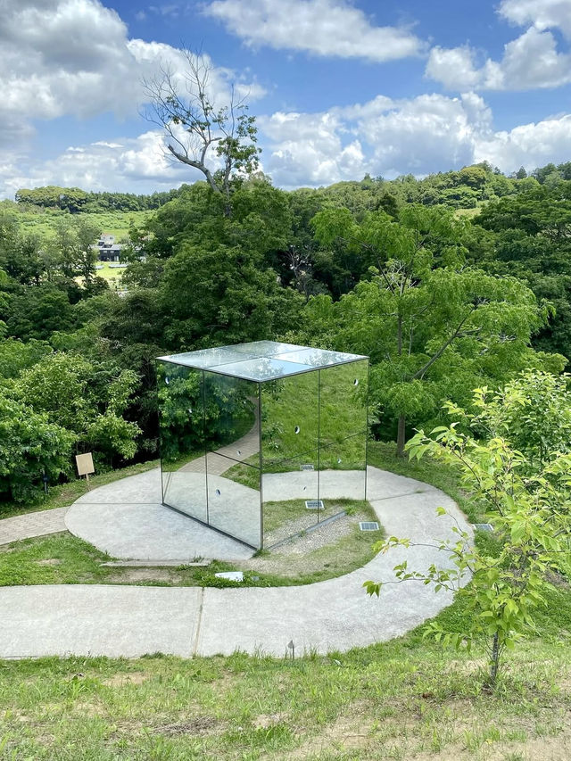 Art, Nature, and Wild Encounters at KURKKUFIELDS