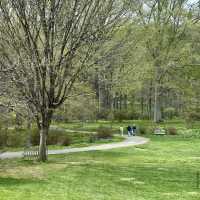 Winterthur Museum, Garden & Library