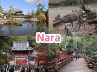 Nara