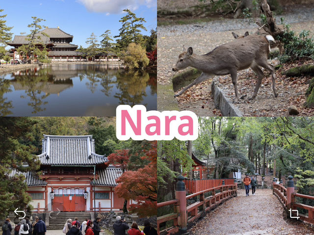 Nara Nara