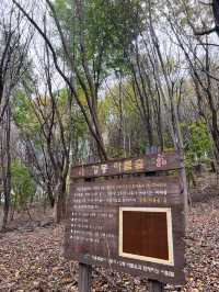 🍁걷고 또 걷고, 둘레길 걷기