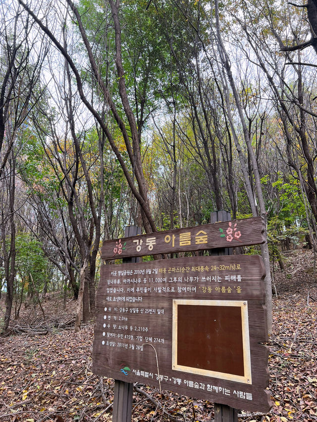 🍁걷고 또 걷고, 둘레길 걷기