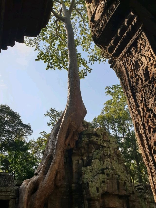 Angkor Wat: The Ultimate Bucket List Icon in Siem Reap 🌳✨