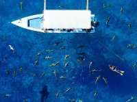 Lagoon Service Bora Bora - The Beat Experience Ever