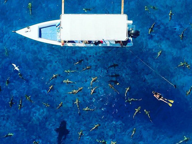 Lagoon Service Bora Bora - The Beat Experience Ever