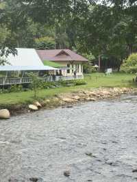 อุทยานแม่ตะไคร้ — สูดอากาศบริสุทธิ์พร้อมเพื่อนขนฟู