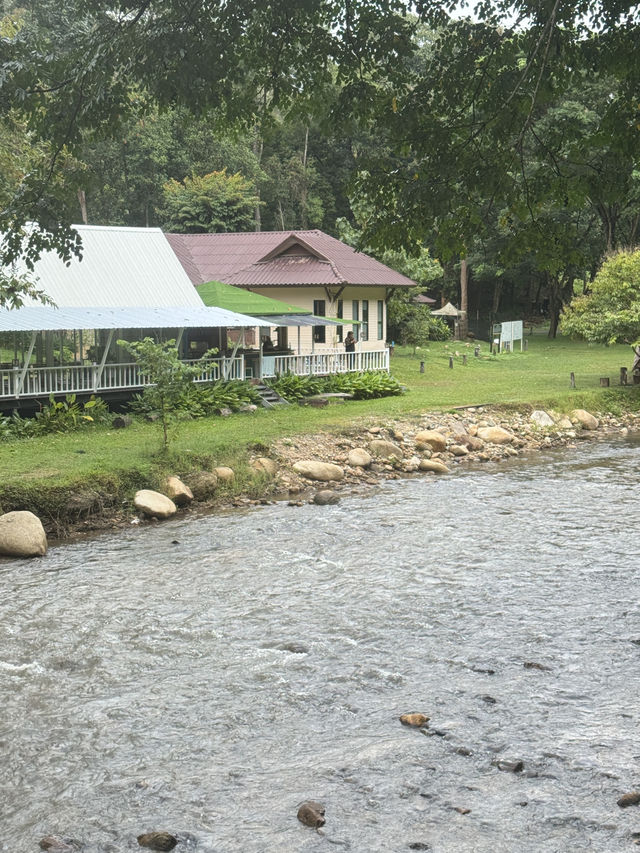 อุทยานแม่ตะไคร้ — สูดอากาศบริสุทธิ์พร้อมเพื่อนขนฟู อุทยานแม่ตะไคร้ — สูดอากาศบริสุทธิ์พร้อมเพื่อนขนฟู