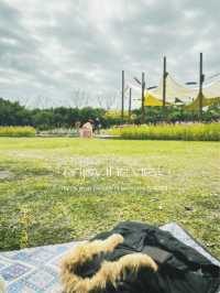 一起來野餐嗎?台北人口中的安森就是這裡!