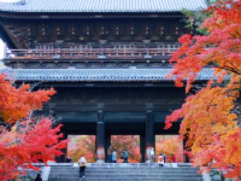 Autumn in Kansai