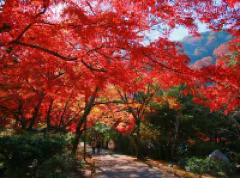 Autumn in Kansai