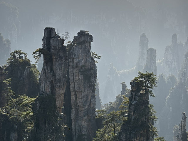 Zhangjiajie National forest park🙌🏼✨🔮 Zhangjiajie National forest park🙌🏼✨🔮