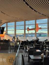 로마 국제공항, 이탈리아 여행의 관문이 되는 허브