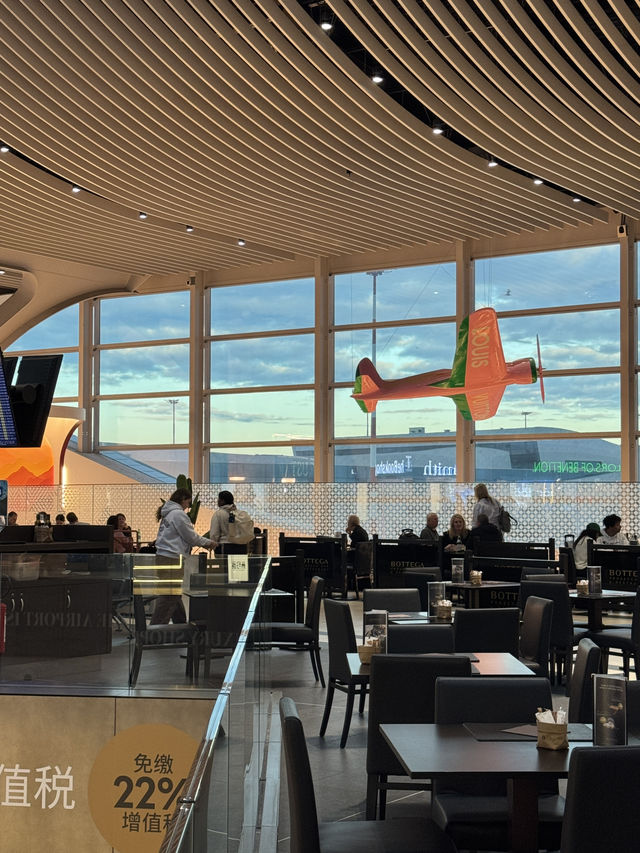 로마 국제공항, 이탈리아 여행의 관문이 되는 허브