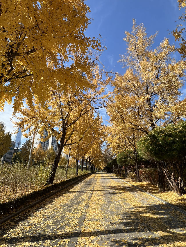 🌳올림픽공원 산책길