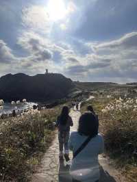 濟州島東岸-涉地可支