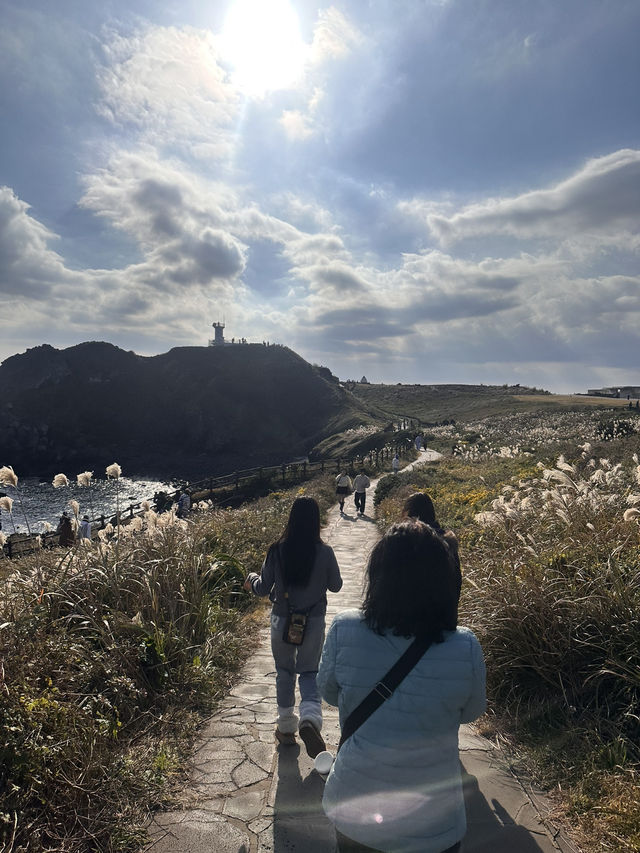 濟州島東岸-涉地可支 濟州島東岸-涉地可支