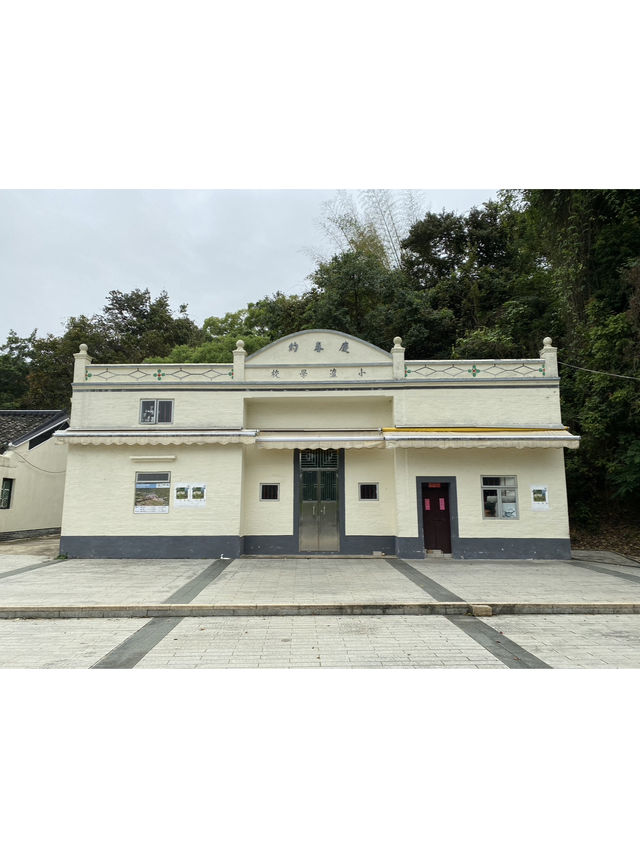 📸打卡香港秘境！荔枝窩客家村奇樹+海景一日遊