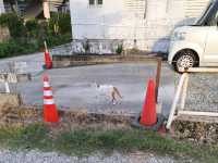 🌊 沖繩奧武島|貓咪之島 × 漁村秘境× 沖繩必吃天婦羅