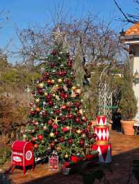 🌳🎄인천 로즈스텔라정원 ❄️