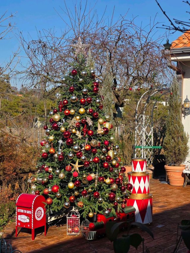 🌳🎄인천 로즈스텔라정원 ❄️