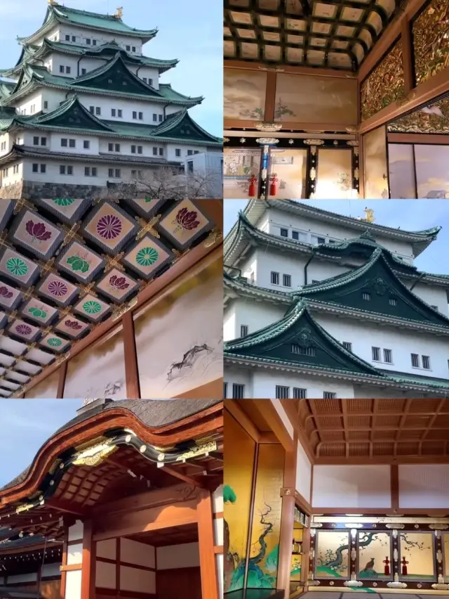 日本名古屋城打卡攻略✨金鯱閃耀必看！