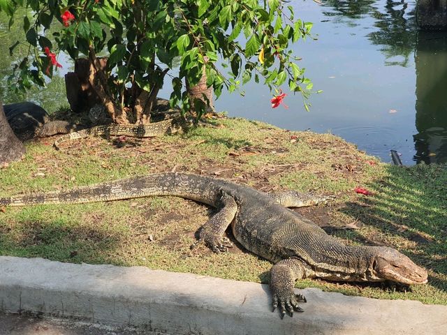 NEW 2026 YEAR IN BANGKOK, THAILAND