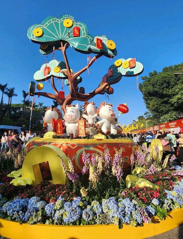 深圳新春賞燈花市必打卡✨