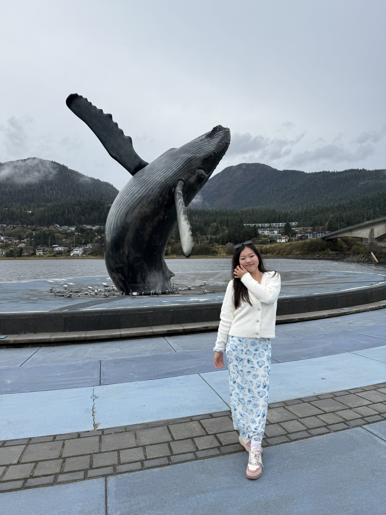 アラスカ州ジュノー 🫧。