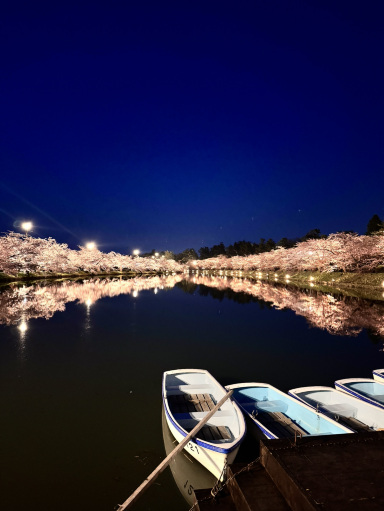 雪と桜のある4月の青森3泊4日 | Trip.com