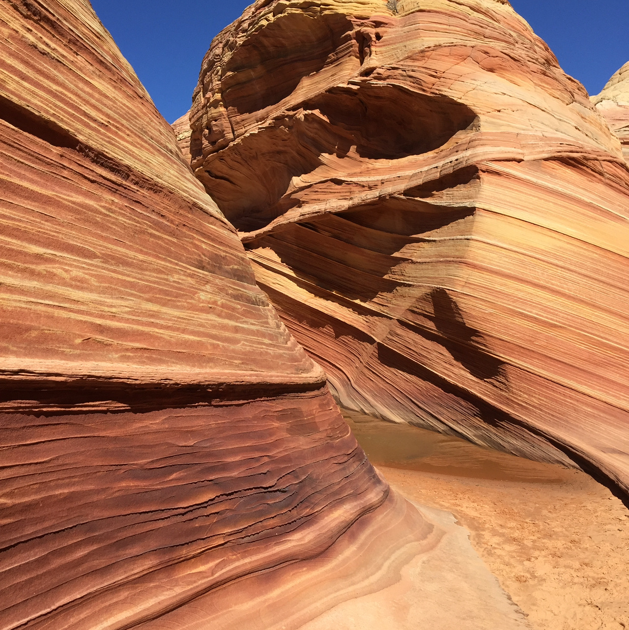 【美國 攻略 2026】Coconino County Trip.com 精選 — 港人實用指南 Coconino County - Nature's Wave in Arizona. - 圖 5