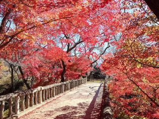 Takato Castle, Nagano.