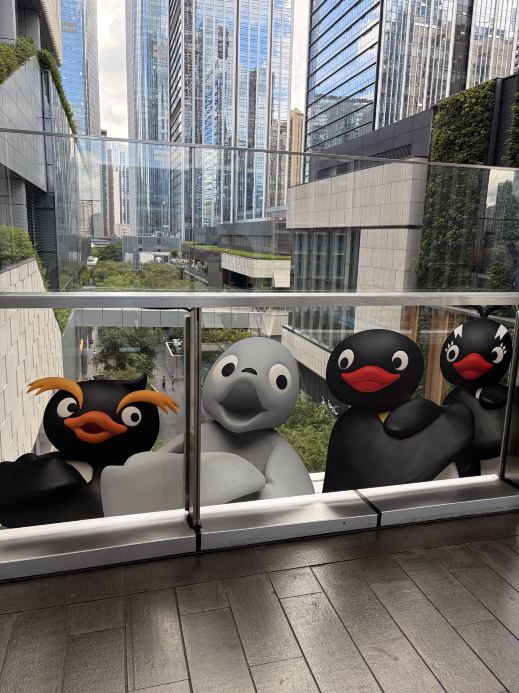 China 🇨🇳｜Shenzhen Pingu 45th Antarctic Wonderland Art