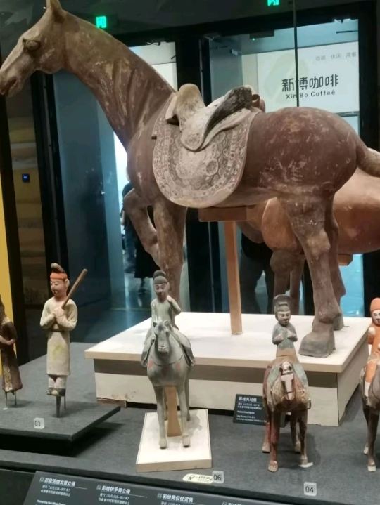 新疆博物館 | 古代西域の遺産をたどる | Trip.com ウルムチ