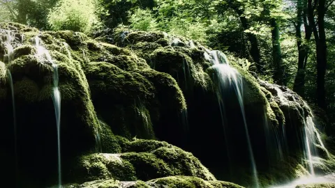 Japan Chugoku Akiyoshidai Plateau Mossy Karst Forest Trail — traveler post in Mine