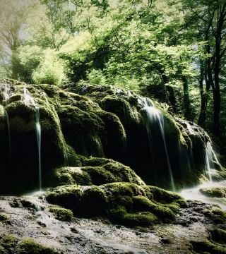 Japan Chugoku Akiyoshidai Plateau Mossy Karst Forest Trail